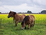 Bild 018